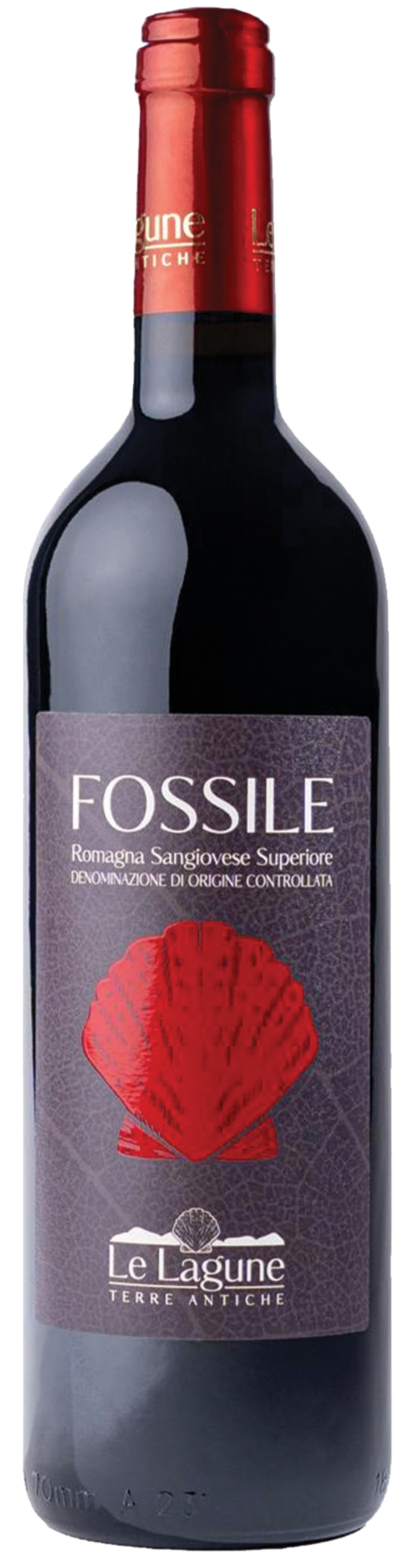 FOSSILE.vino