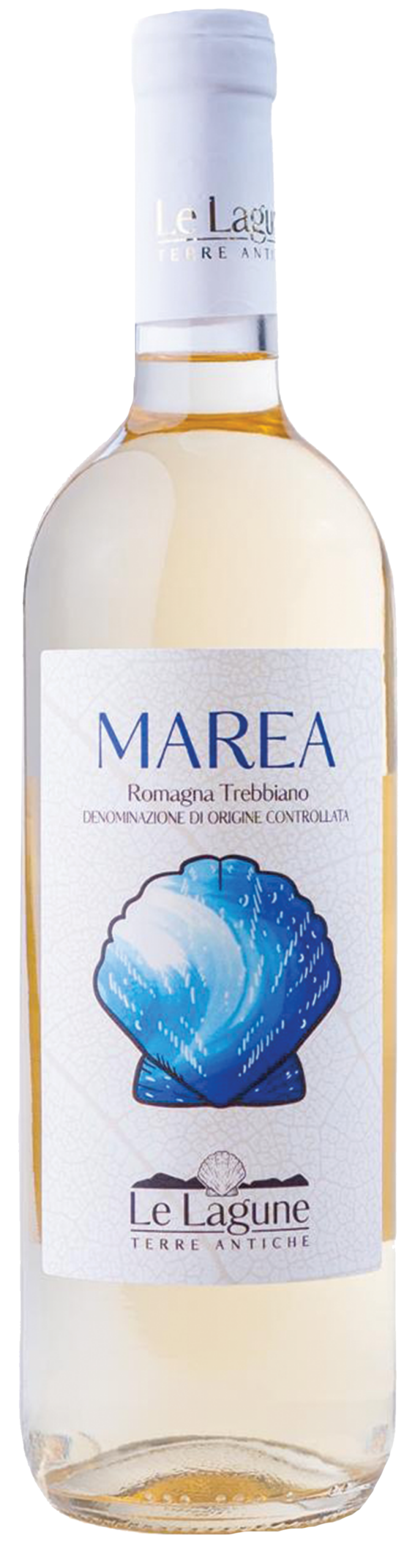 MAREA.vino